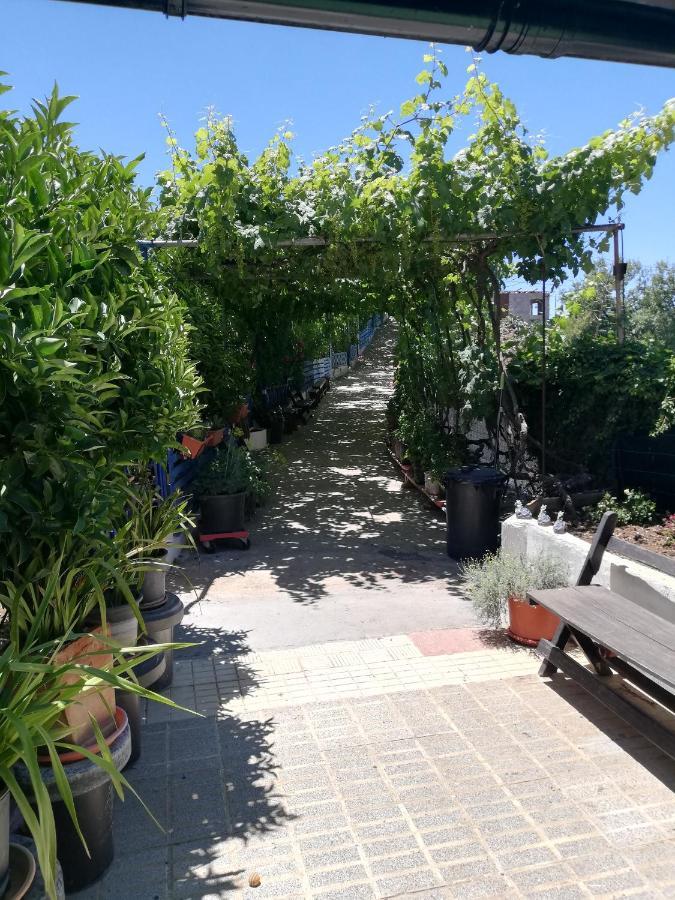 Apartamento Casa Mari Carmen Y Jose